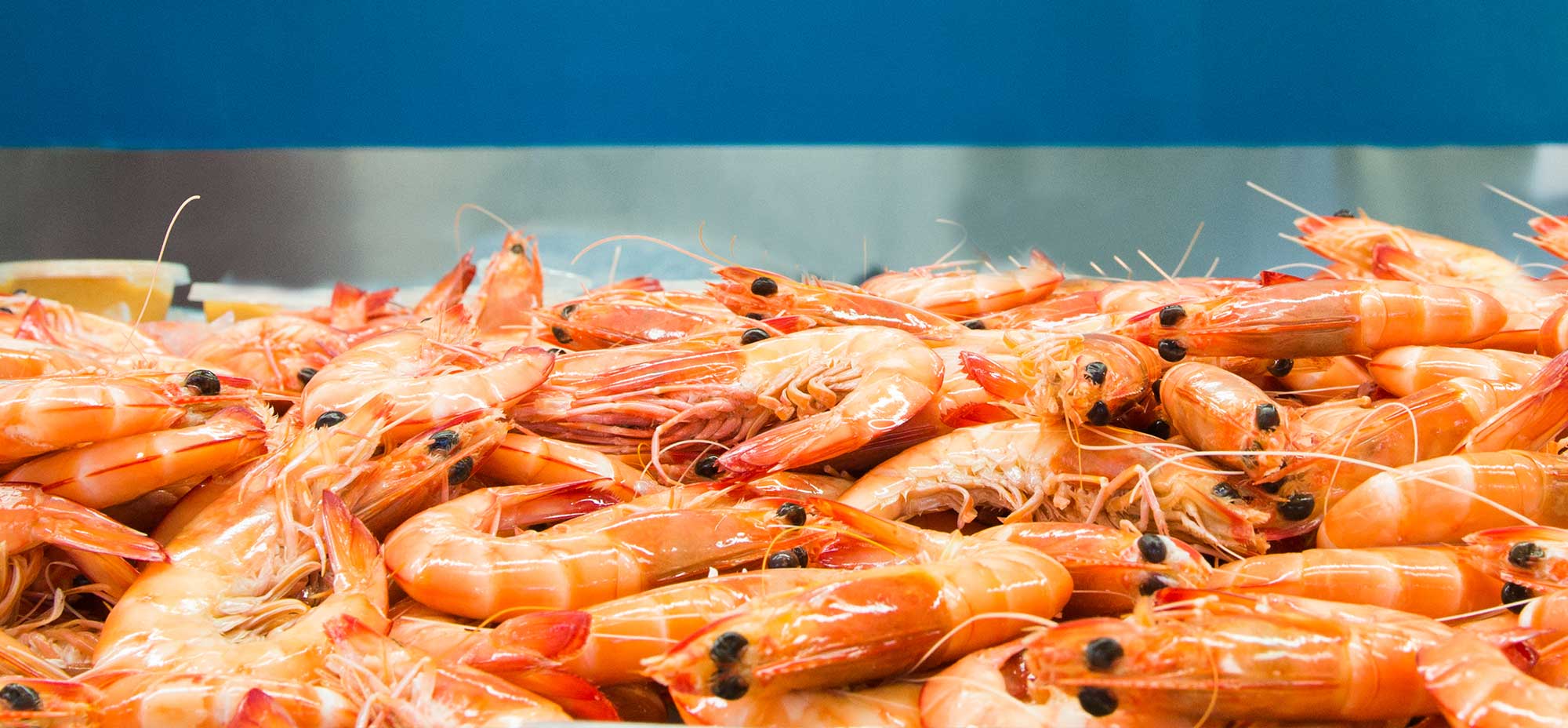 Superior Food Services partner with MRF Fish to bring fresh seafood to your kitchens