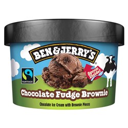 CHOC FUDGE BROW (12 X 100ML) # 64329339 BEN & JERRY