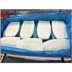 SQUID GIGAS TUBE SUPER TENDER U5 5 KG # 1010300791 BLUE WAVE