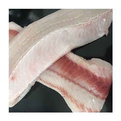 RIG FILLETS 10KG # HFRFPREM  HARBOUR FISH