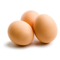 EGGS CATERERS 15 DOZEN - 800GM # CT67 KALBARRI