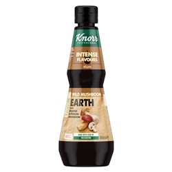 INTENSE FLAVOUR MUSHROOM 400ML(6) # 68140463 KNORR