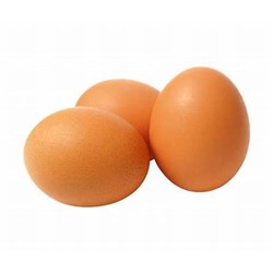 EGGS 59G CATER PACK FREE RANGE 15 DOZEN # EKJF059 KATIE JOYS