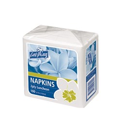 NAPKIN 2PLY LUNCH WHITE 100S(20) # CA-NAPL2PW CASTAWAY