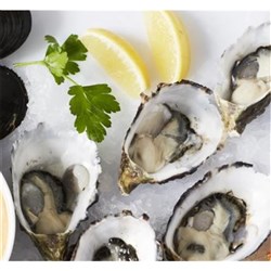 OYSTERS MEDIUM IN 1/2 SHELL TASMANIAN 10 DOZ