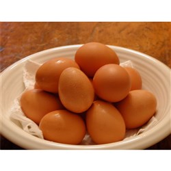 EGGS LARGE CAGE 50GM 15 DOZEN PURE FOOD EGGS