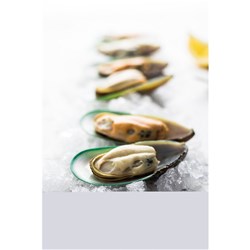 MUSSELS HALF SHELL 1KG(12) #2052 PAC WEST