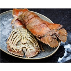 BUGS MORETON BAY SHARK BAY AUST 6KG # 4000119 SEA HARVEST