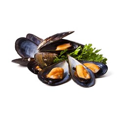 MUSSELS WHOLE COOKED NATURAL 40/60 500GM (10) #MWCN4060CE SHORE MARINER