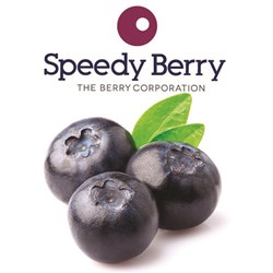 BLUEBERRIES FROZEN 1KG(10) # BLUE011 SPEEDY