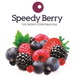 MIXED BERRIES FROZEN 1KG (10) # BERR044 SPEEDY