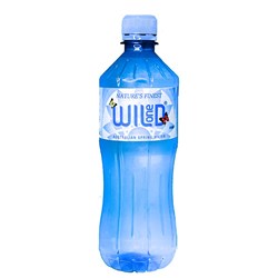 WATER SPRING (12 X 600ML) # W1OSW600 WILD ONE