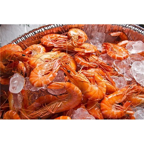 PRAWN WHOLE COOKED VANNAMEI 16/20 5KG