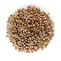 CORIANDER WHOLE 500GM (10) ILUKA