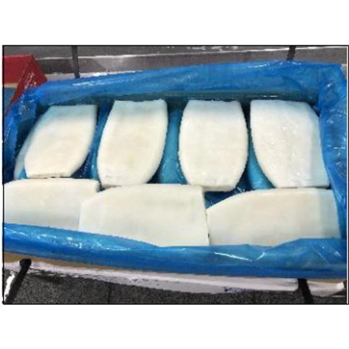 SQUID GIGAS TUBE SUPER TENDER U5 5 KG # 1010300791 BLUE WAVE