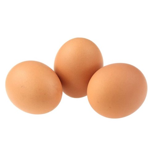 EGGS 59G CATER PACK 15 DOZEN # EPFF059 KATIE JOYS