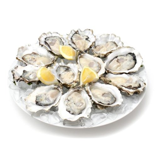 OYSTERS 1/2 SHELL LARGE NZ 10 DOZEN # 03688 TOPSAIL