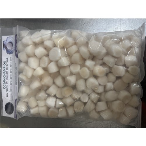 SCALLOPS ROE OFF BAY CHINA IMP 1KG(10) # SCFCB60C OCEAN CHAMPION