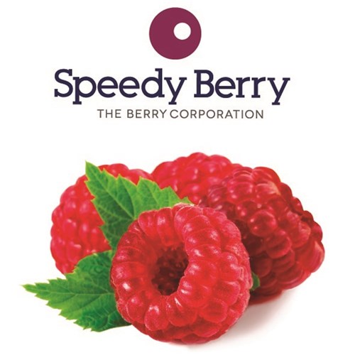 RASPBERRIES FROZEN 1KG (10) # RASP011 SPEEDYBERRY