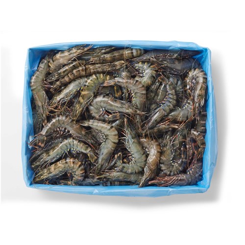 PRAWNS BLACK TIGER RAW U8 3KG # 4836301 TASSAL