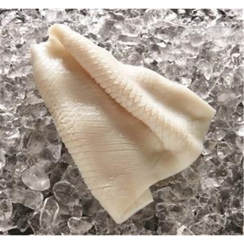 SQUID FILLET PINEAPPLE CUT U/3 5KG(2) # 12489 TOPSAIL